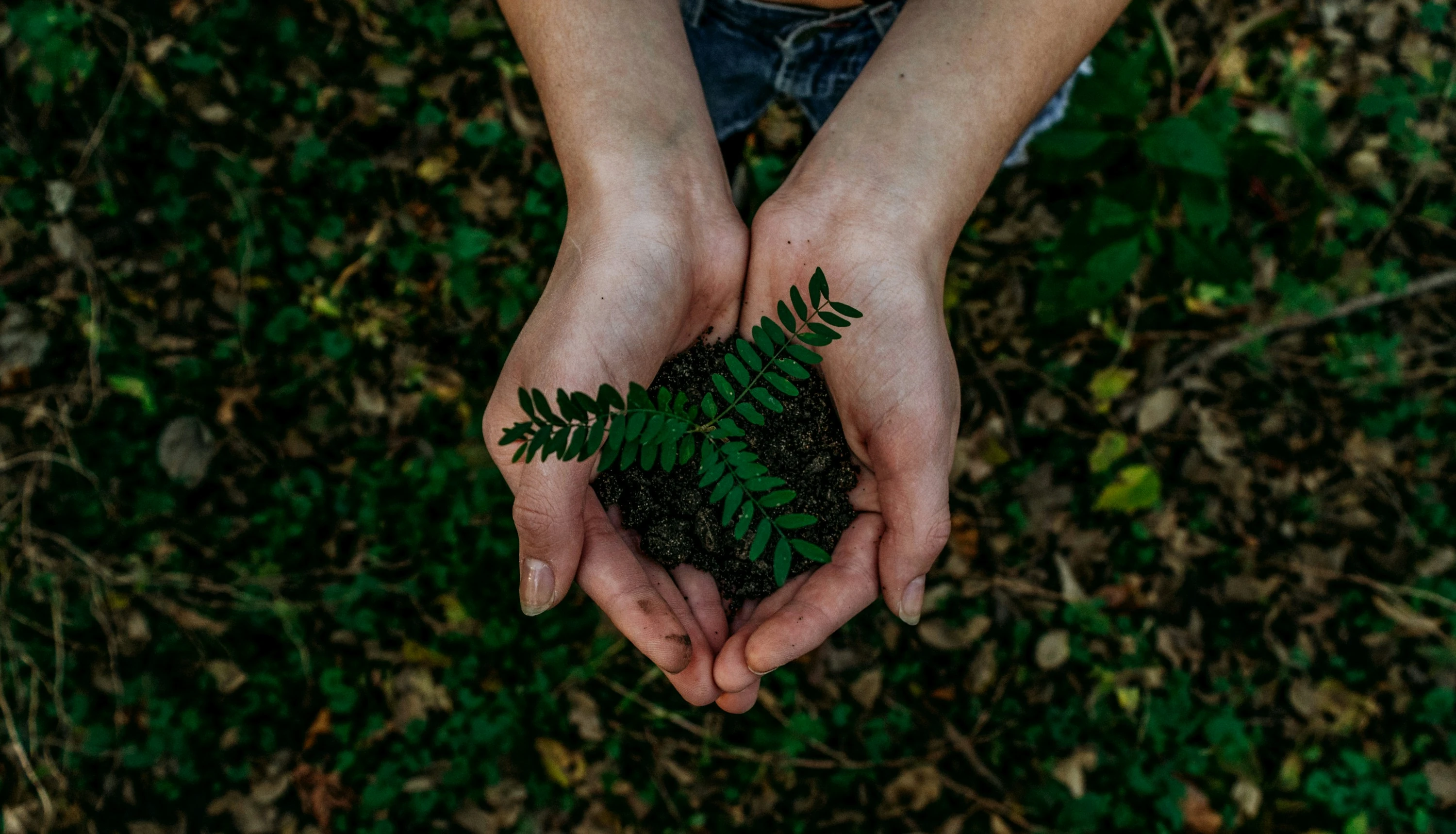 Turismo sostenibile: viaggiare rispettando l'ambiente
